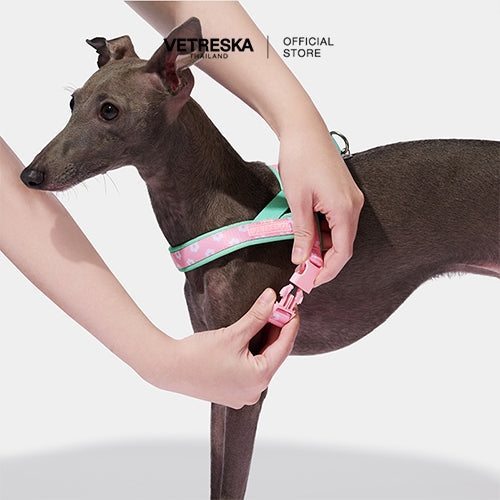 Vetreska - Flora Pet Harness & Leash Set - OCC LIFE