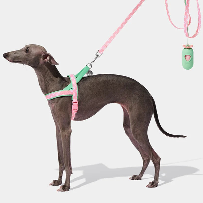 Vetreska - Flora Pet Harness & Leash Set - OCC LIFE