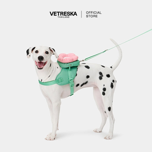 Vetreska - Flora Pet Backpack & Harness 3 in 1 Set - OCC LIFE