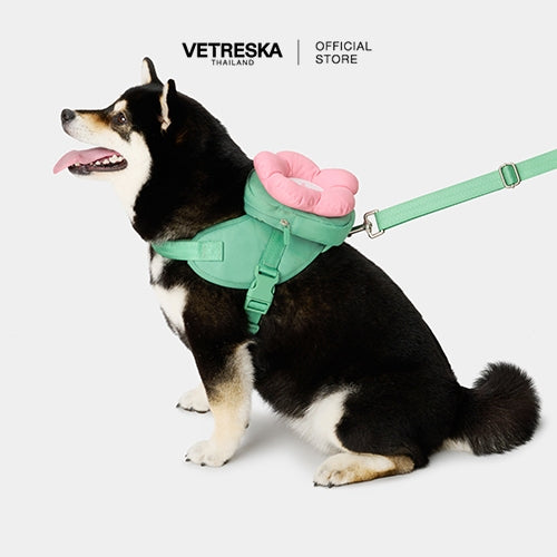 Vetreska - Flora Pet Backpack & Harness 3 in 1 Set - OCC LIFE