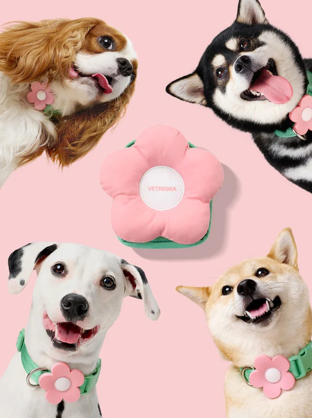 Vetreska - Flora Pet Backpack & Harness 3 in 1 Set - OCC LIFE