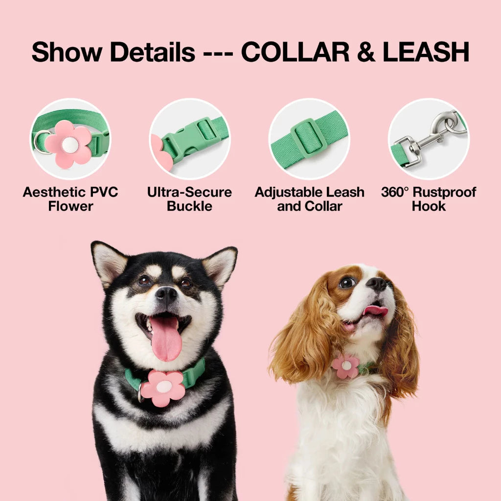 Vetreska - Flora Pet Backpack & Harness 3 in 1 Set - OCC LIFE