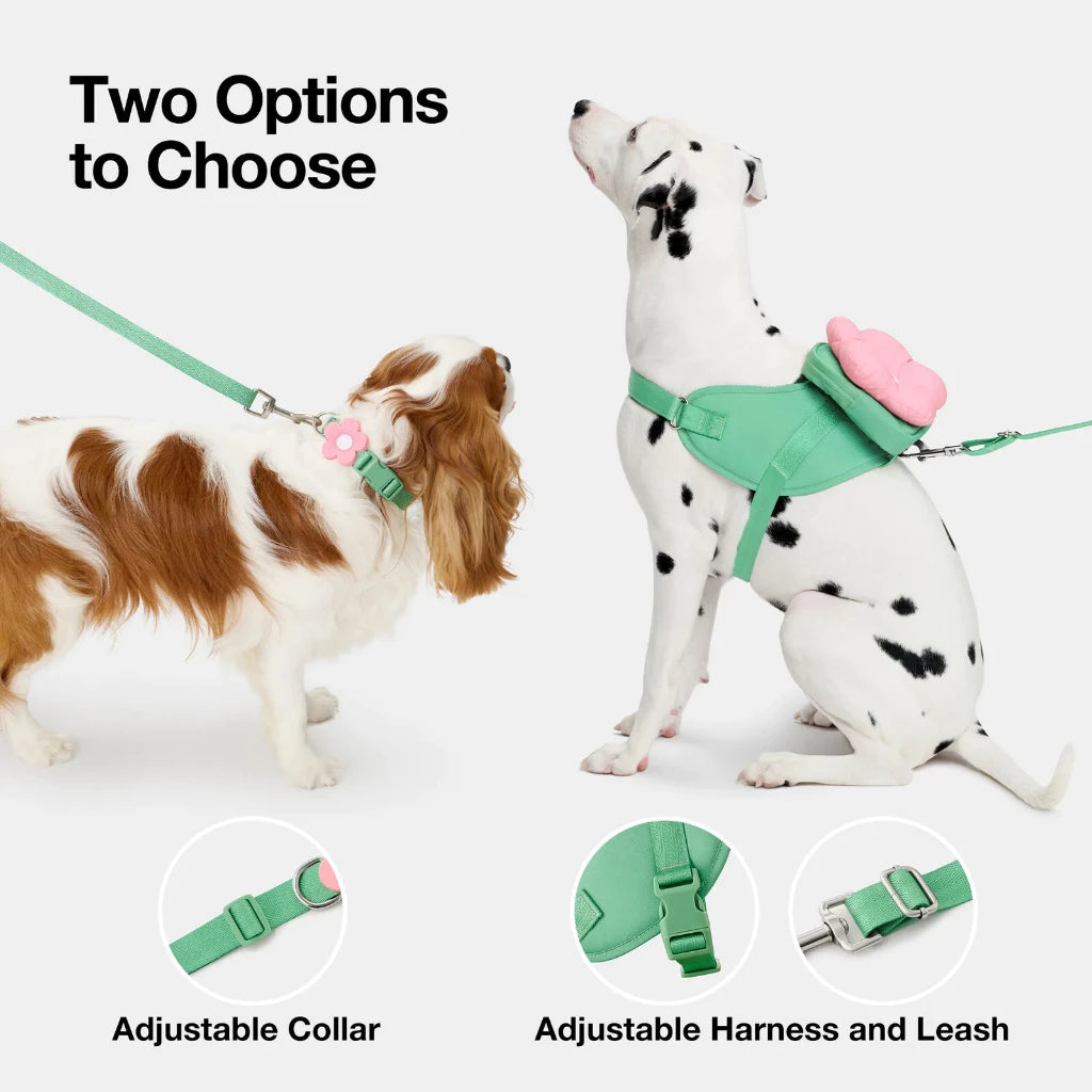 Vetreska - Flora Pet Backpack & Harness 3 in 1 Set - OCC LIFE