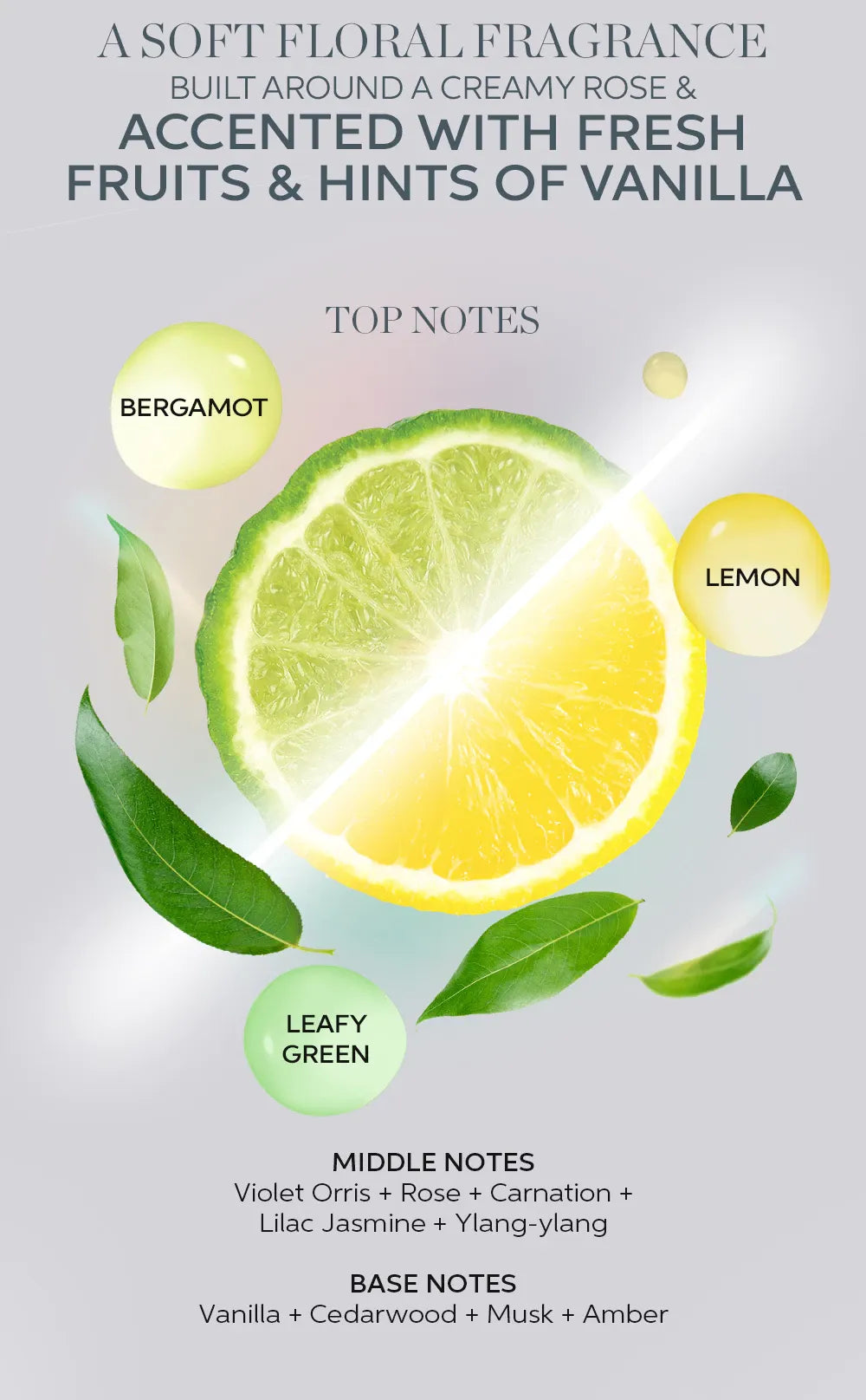 WELLA - ColorMotion+ Moisturizing Color Reflection - OCC LIFE